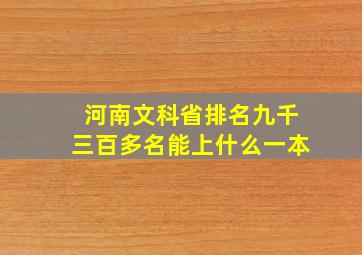 河南文科省排名九千三百多名能上什么一本