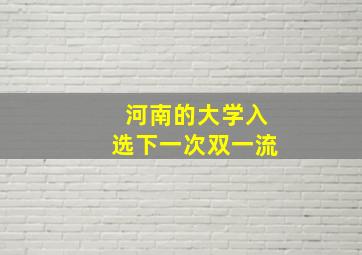 河南的大学入选下一次双一流