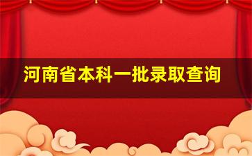 河南省本科一批录取查询