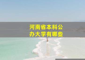 河南省本科公办大学有哪些