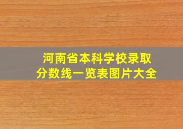 河南省本科学校录取分数线一览表图片大全