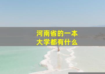 河南省的一本大学都有什么