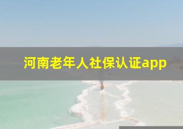 河南老年人社保认证app