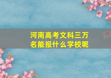 河南高考文科三万名能报什么学校呢