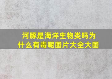 河豚是海洋生物类吗为什么有毒呢图片大全大图