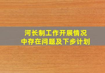 河长制工作开展情况中存在问题及下步计划