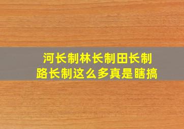 河长制林长制田长制路长制这么多真是瞎搞