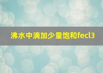 沸水中滴加少量饱和fecl3