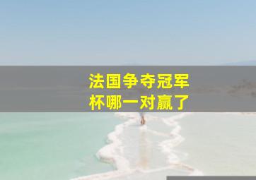 法国争夺冠军杯哪一对赢了