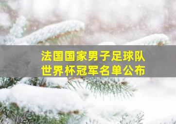 法国国家男子足球队世界杯冠军名单公布