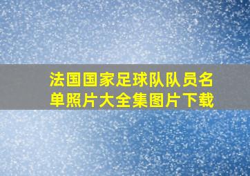 法国国家足球队队员名单照片大全集图片下载