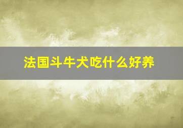 法国斗牛犬吃什么好养