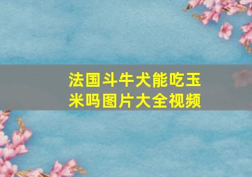 法国斗牛犬能吃玉米吗图片大全视频