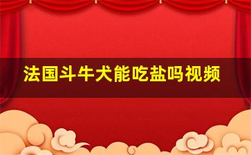 法国斗牛犬能吃盐吗视频