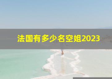 法国有多少名空姐2023