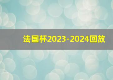 法国杯2023-2024回放