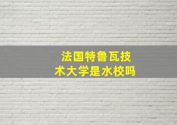 法国特鲁瓦技术大学是水校吗