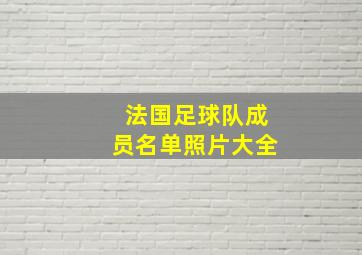 法国足球队成员名单照片大全