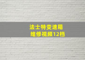 法士特变速箱维修视频12档