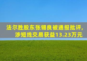 法尔胜股东张锡良被通报批评,涉短线交易获益13.23万元