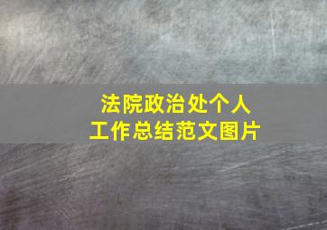 法院政治处个人工作总结范文图片