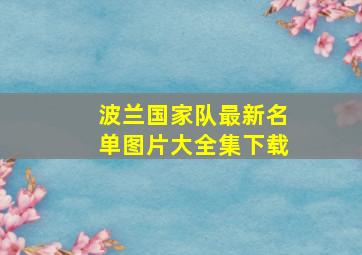 波兰国家队最新名单图片大全集下载