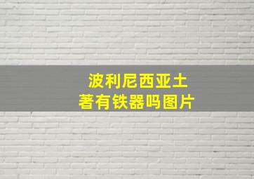 波利尼西亚土著有铁器吗图片