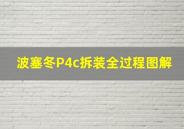 波塞冬P4c拆装全过程图解