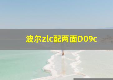 波尔zlc配两面D09c