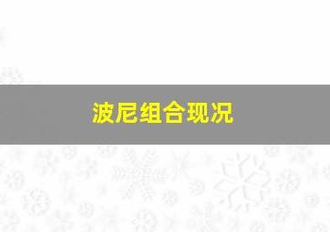 波尼组合现况