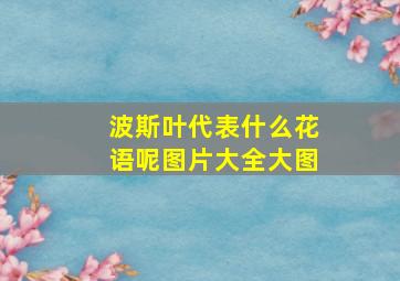 波斯叶代表什么花语呢图片大全大图