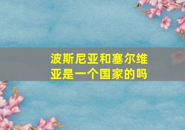 波斯尼亚和塞尔维亚是一个国家的吗