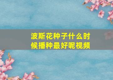 波斯花种子什么时候播种最好呢视频