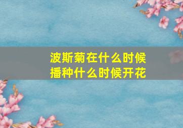 波斯菊在什么时候播种什么时候开花