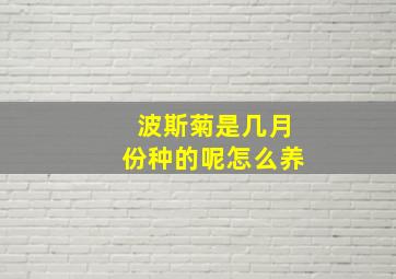 波斯菊是几月份种的呢怎么养