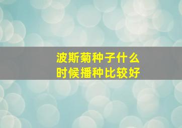 波斯菊种子什么时候播种比较好