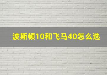 波斯顿10和飞马40怎么选