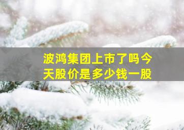 波鸿集团上市了吗今天股价是多少钱一股