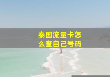 泰国流量卡怎么查自己号码