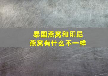 泰国燕窝和印尼燕窝有什么不一样