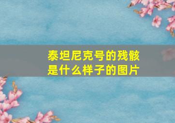 泰坦尼克号的残骸是什么样子的图片