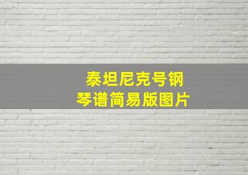 泰坦尼克号钢琴谱简易版图片