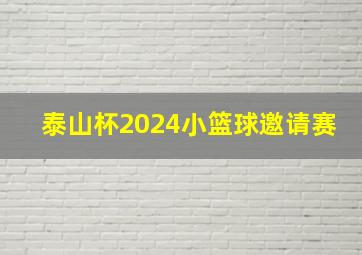 泰山杯2024小篮球邀请赛