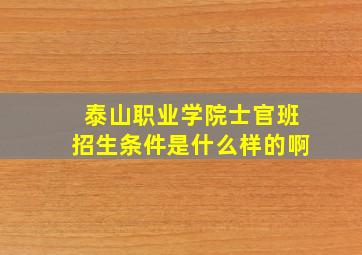 泰山职业学院士官班招生条件是什么样的啊