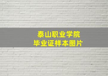 泰山职业学院毕业证样本图片