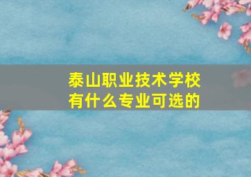 泰山职业技术学校有什么专业可选的