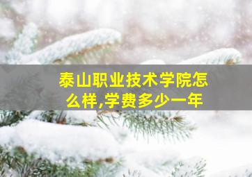 泰山职业技术学院怎么样,学费多少一年