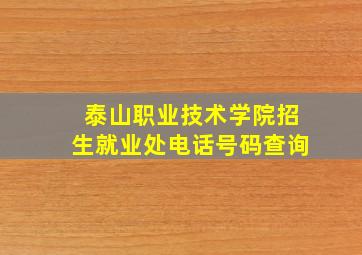 泰山职业技术学院招生就业处电话号码查询