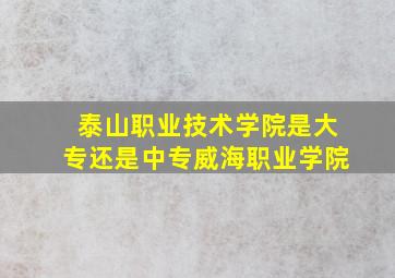 泰山职业技术学院是大专还是中专威海职业学院