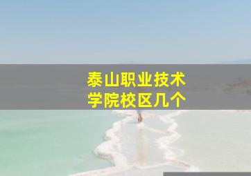 泰山职业技术学院校区几个